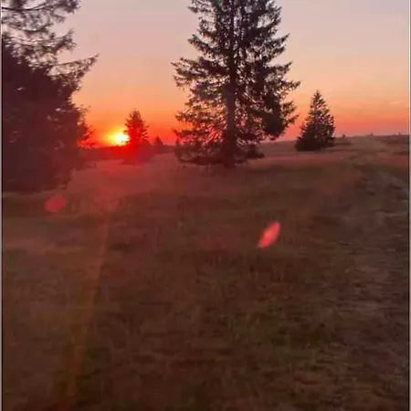 アパート Jolie Cocooning